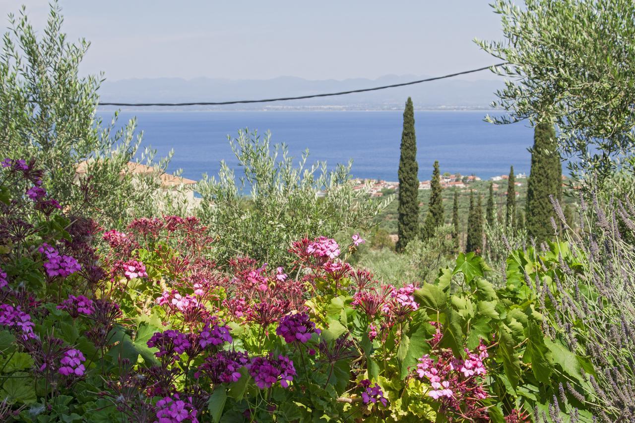 Ellinas Homes Megali Mantineia Экстерьер фото